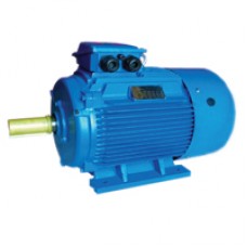 Z011-1097 INLINE มอเตอร์ 3HP(2.2KW) 380V(B3) 2P EBARA 