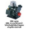 เครื่องสูบน้ำสำหรับสูบตามบ้านเรือนชนิดใบพัดเฟือง/ปั๊มออโตเมติก "Showfou Pump"